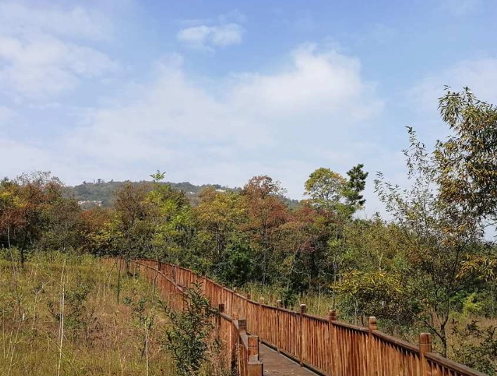 台南爬山親子 台南爬山親子