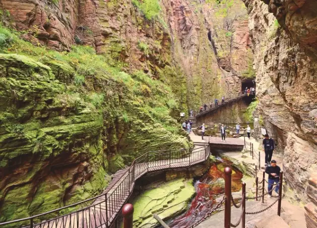 龍潭登山步道新手攻略｜小粗坑古道交通、路線難度與秘境全解析