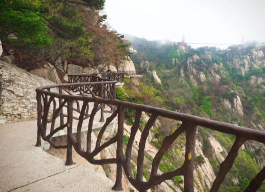 龜山步道攻略 龜山步道攻略