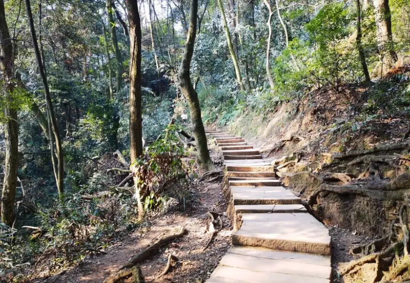 台南爬山親子 台南爬山親子