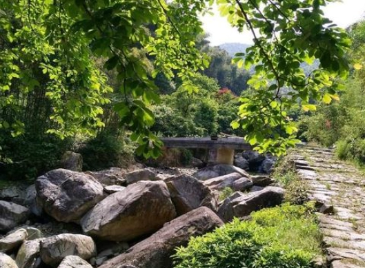 桃園爬山步道 桃園爬山步道