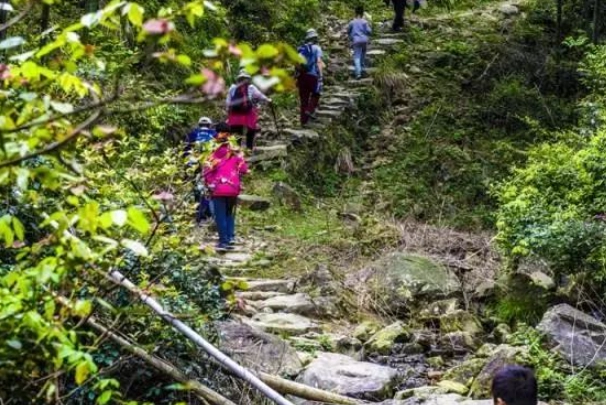 六義山登山攻略