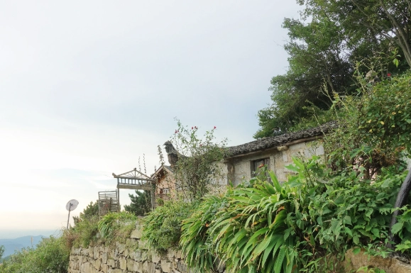 桃園健行步道 桃園健行步道