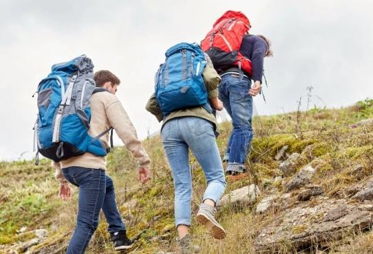 桃園爬山步道 桃園爬山步道