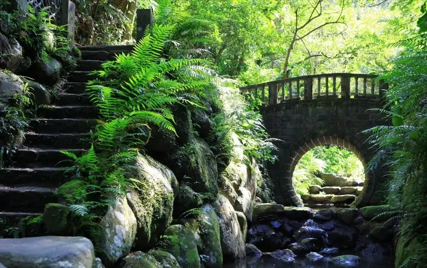 虎山步道開放時間