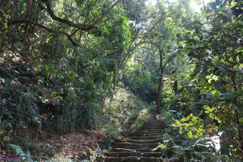 台南登山步道 台南登山步道