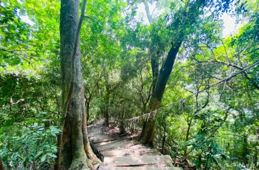 台南登山步道
