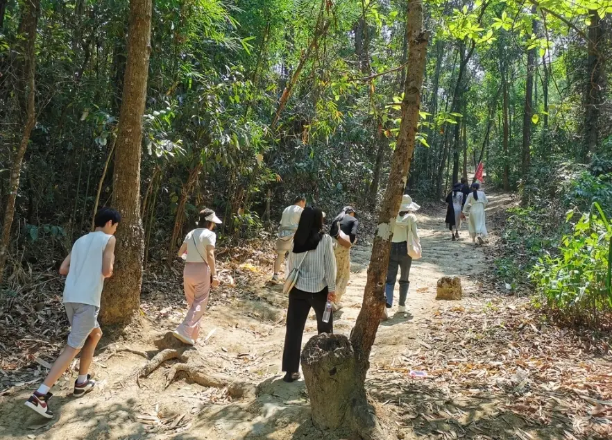 台南登山路線 台南登山路線