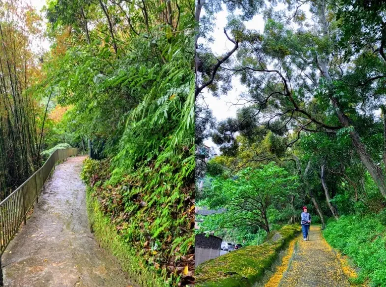 糴米古道健行 糴米古道健行