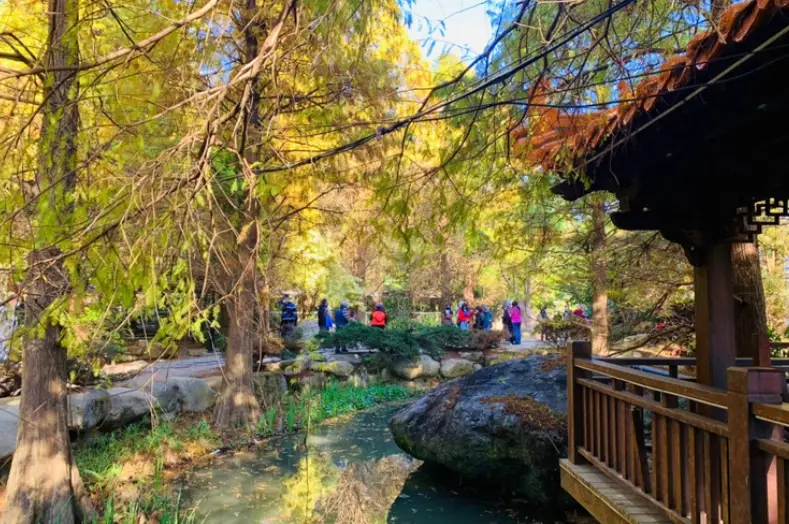 頭份登山步道 頭份登山步道
