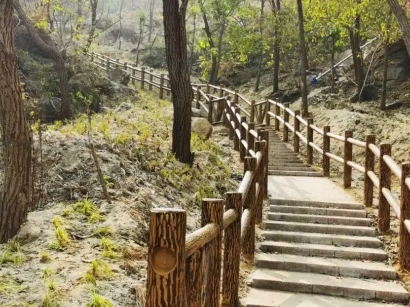 后里登山步道 后里登山步道