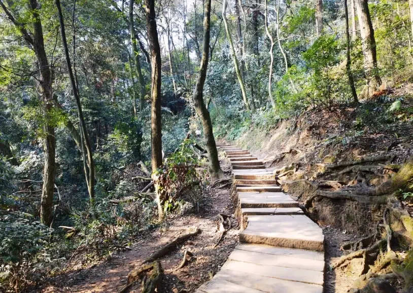 苗栗登山步道