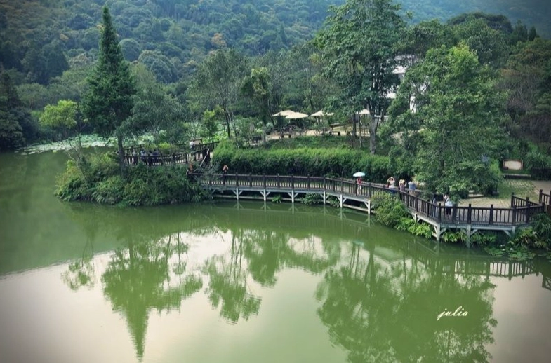 南庄登山步道全攻略：新手老手都適合的秘境路線與行程規劃