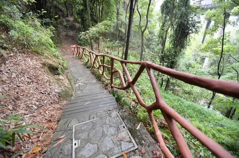 台中后里爬山 台中后里爬山