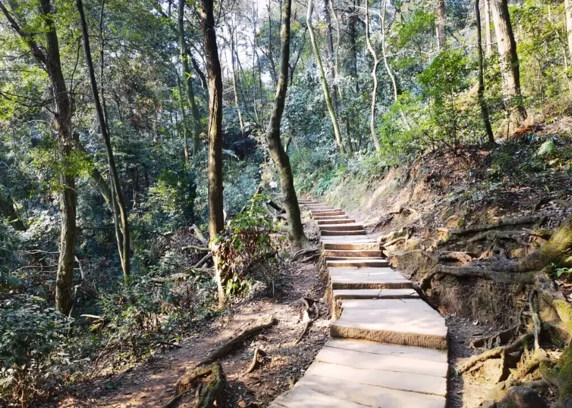 后里步道推荐 后里步道推荐