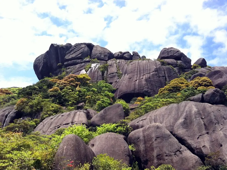 石牛山 步道 石牛山 步道