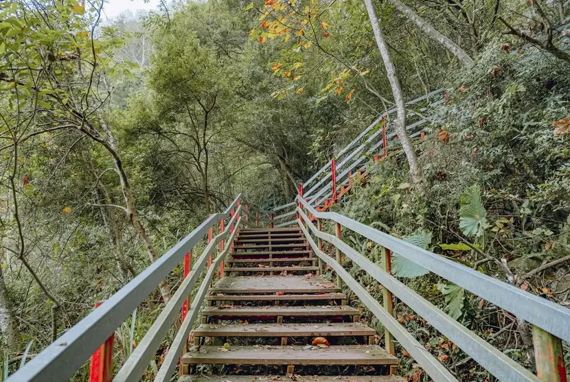 泰安步道 泰安步道