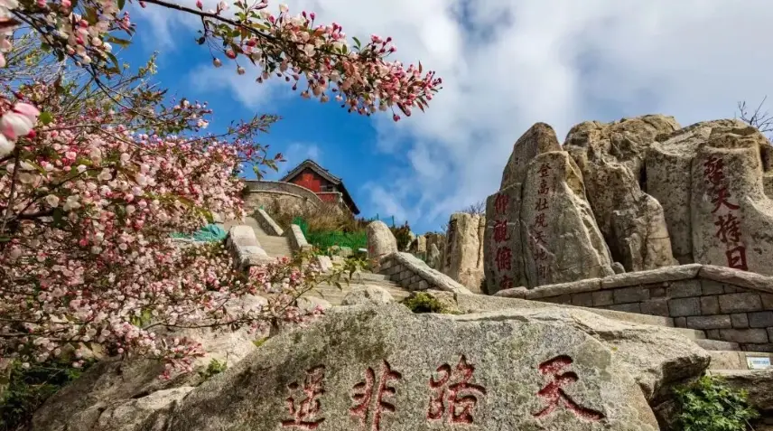 步道推薦 步道推薦