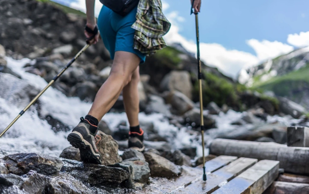 航空 登山杖 規定