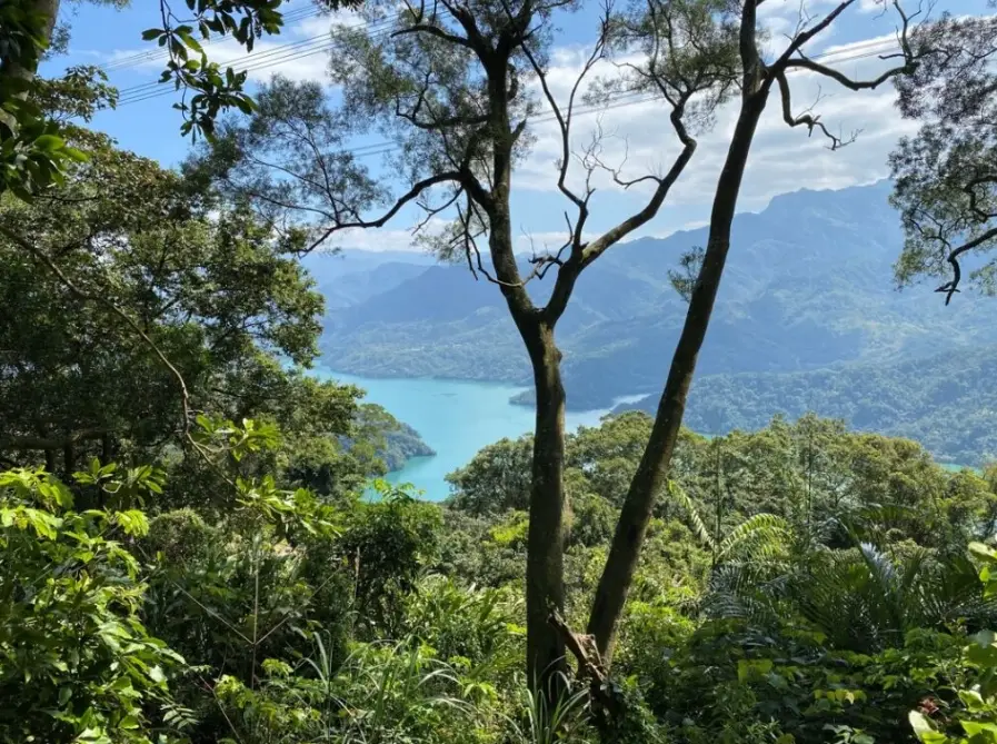 溪洲山 登山難度 溪洲山 登山難度