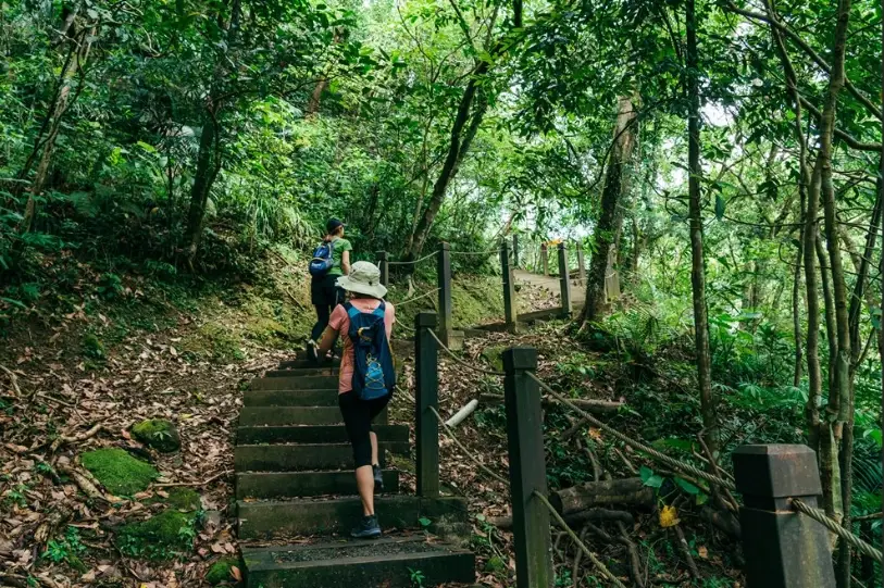 望古嶺步道難度 望古嶺步道難度