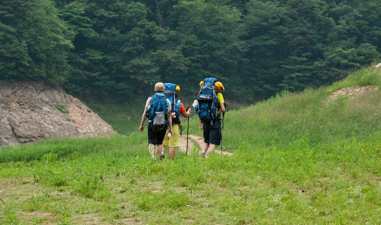 北部親山步道 北部親山步道