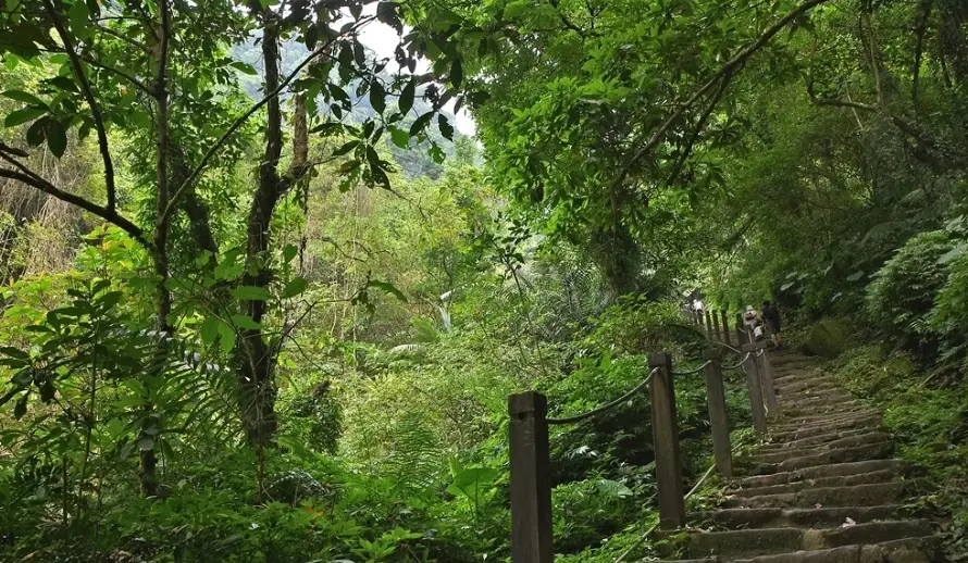 新店登山步道 新店登山步道