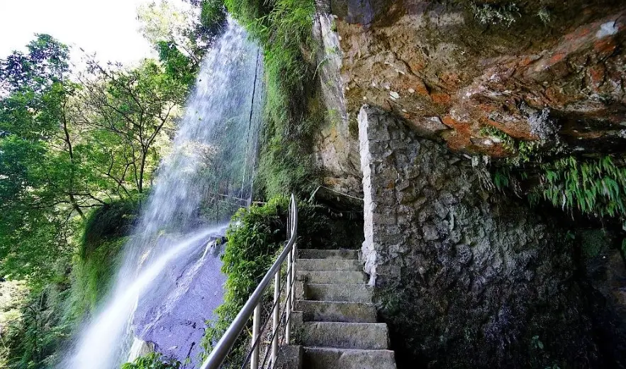 新店登山步道 新店登山步道