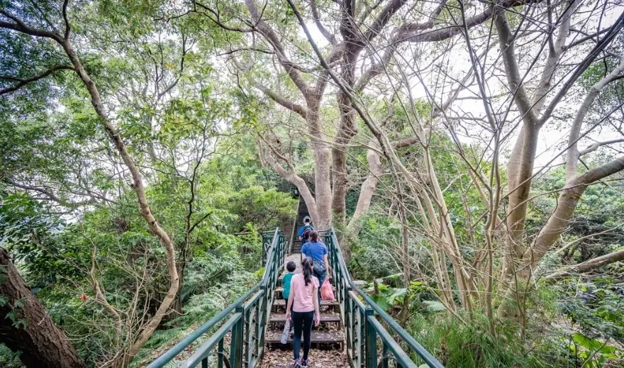新店爬山 新店爬山