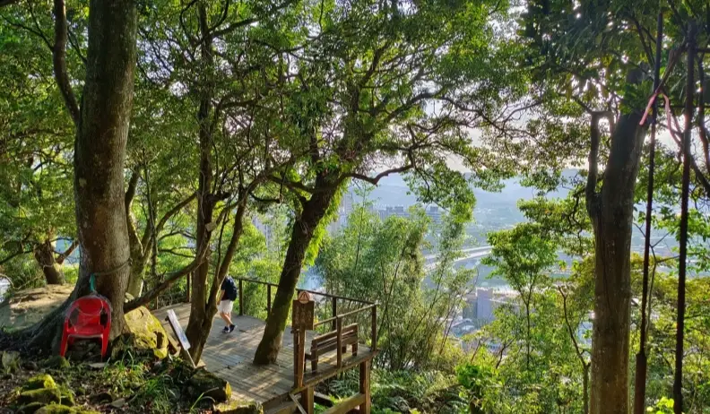 新店登山步道 新店登山步道