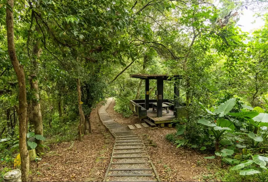 大同山 免費停車