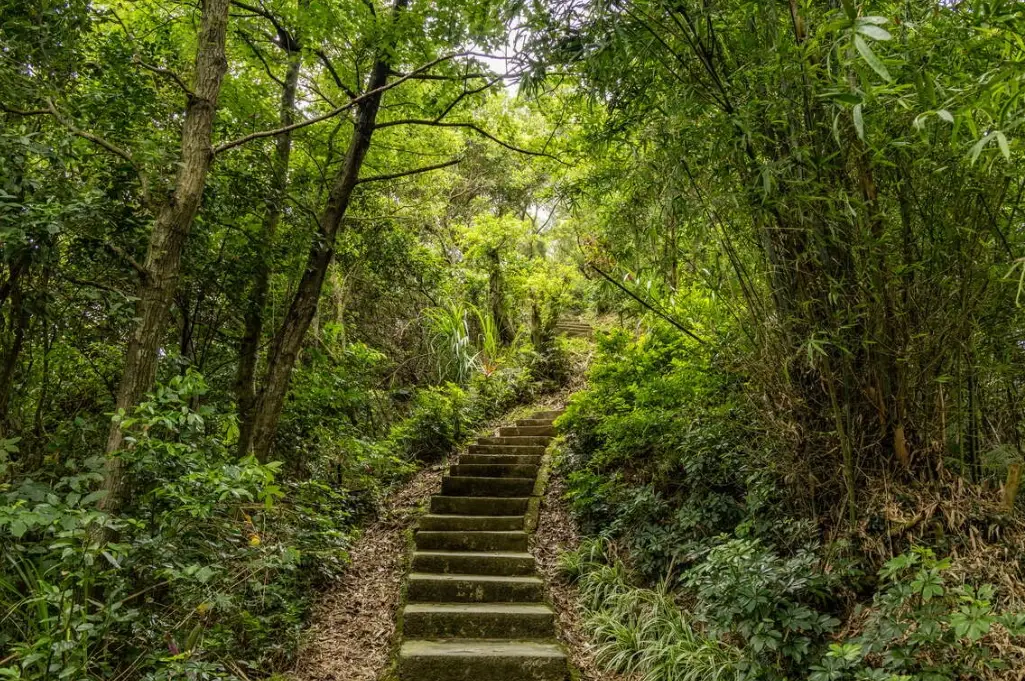 大同山登山步道入口攻略｜新手必看交通路線與步道選擇