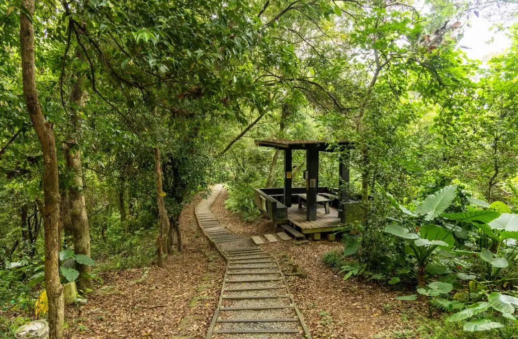 大同山步道路線 大同山步道路線