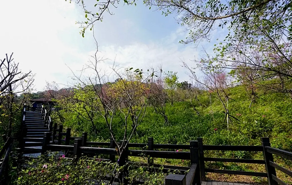 大同山怎麼去 大同山怎麼去