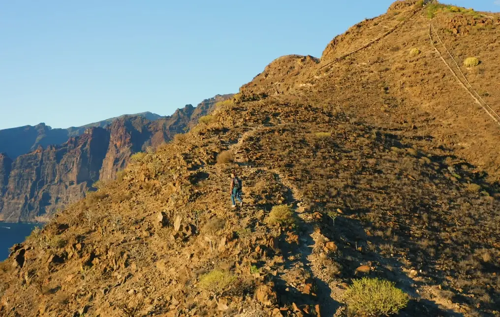 桃園爬山步道 桃園爬山步道