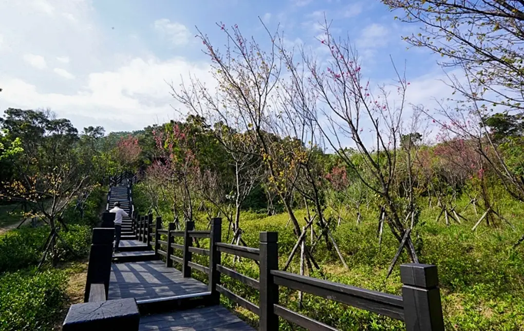 大同山步道路線