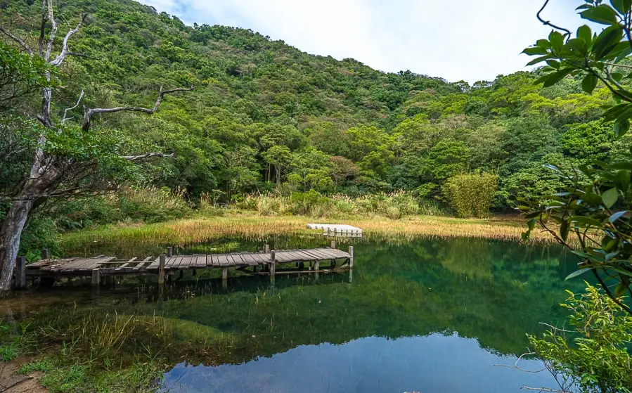汐止景點一日遊