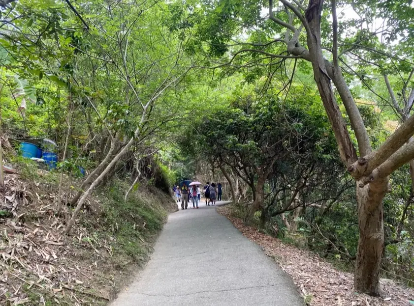 大坑步道 大坑步道