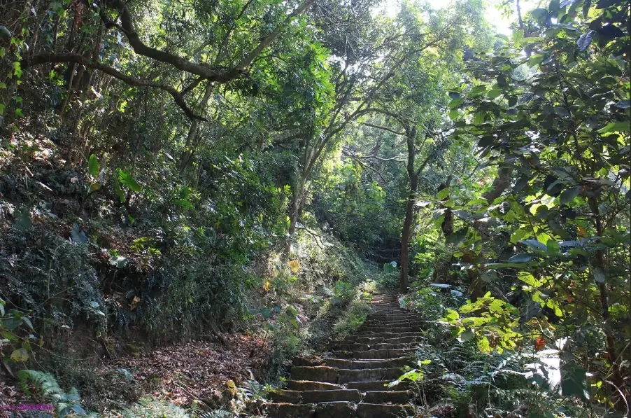登山步道