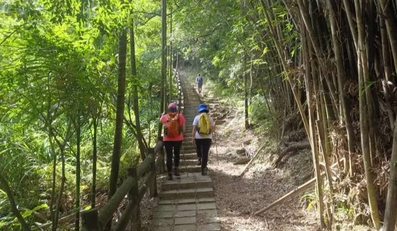 大棟山交通 大棟山交通