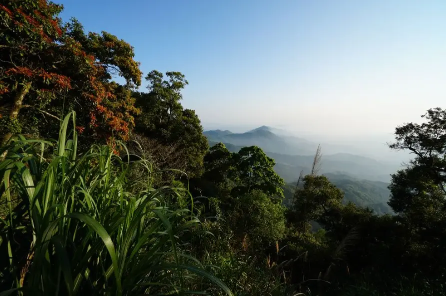大棟山登山路線