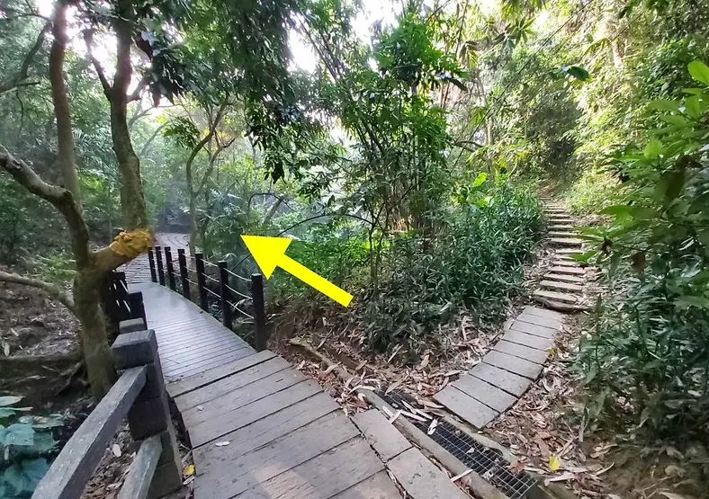 大坑步道 大坑步道