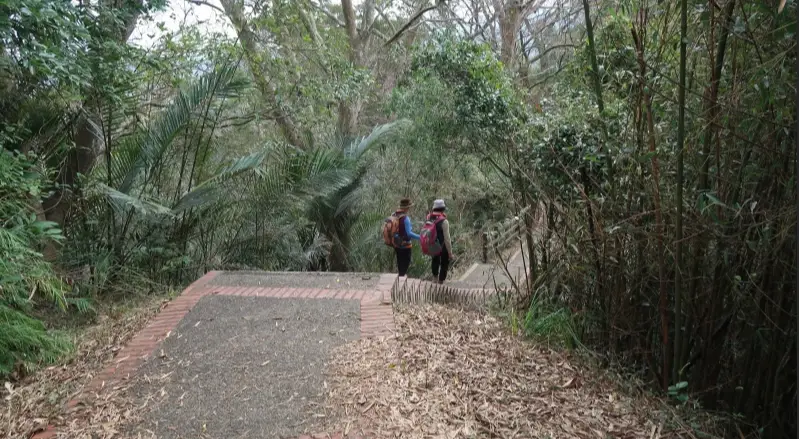 新竹親子景點 新竹親子景點