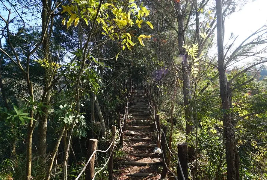 台中大坑步道停車