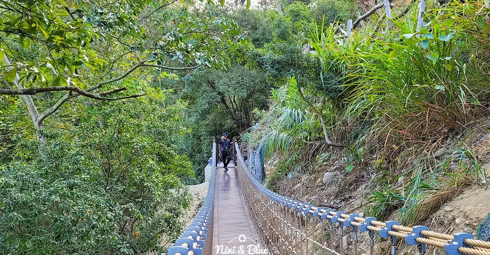 大坑七號步道 大坑七號步道