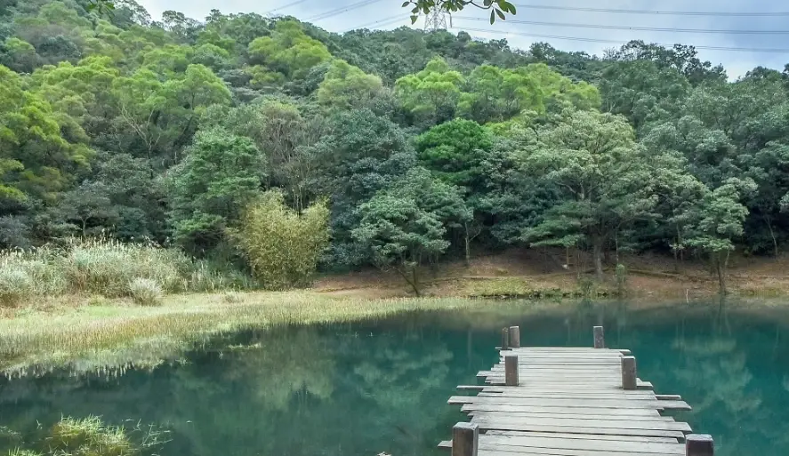 汐止景點一日遊