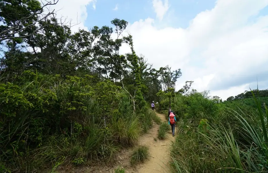 新竹步道推薦 新竹步道推薦
