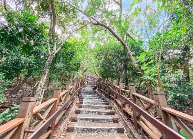 新竹市步道推薦：三條特色路線，從城市綠洲到海岸秘境