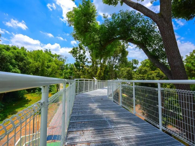 八卦山登山步道