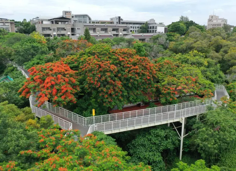 八卦山登山步道